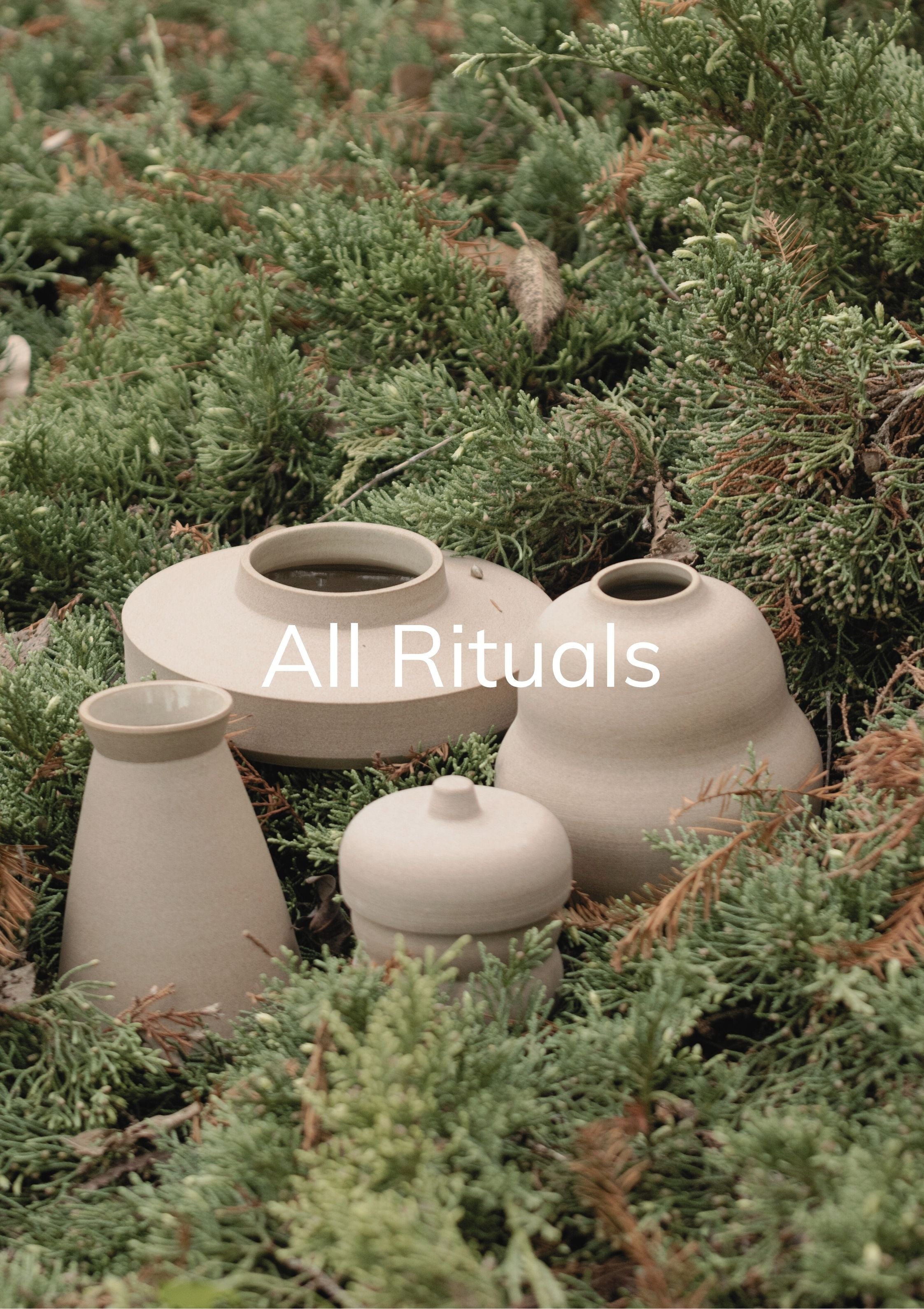 Todos los rituales